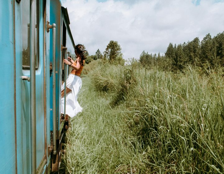 A woman in casual wear leans out of a train, surrounded by lush greenery and trees, capturing the spirit of travel and adventure.