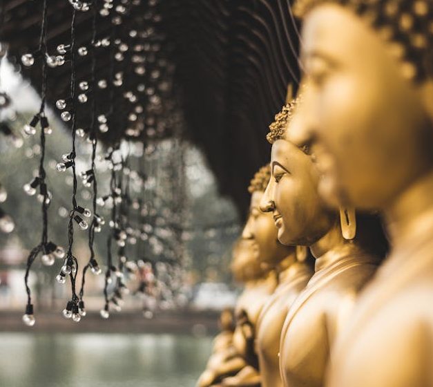 A row of golden Buddha statues adorned with elegant string lights in Colombo, Sri Lanka.
